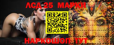 стафф Коммунар