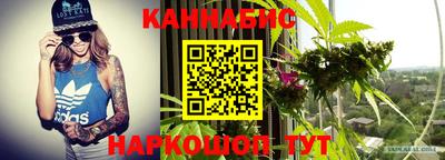 стафф Коммунар