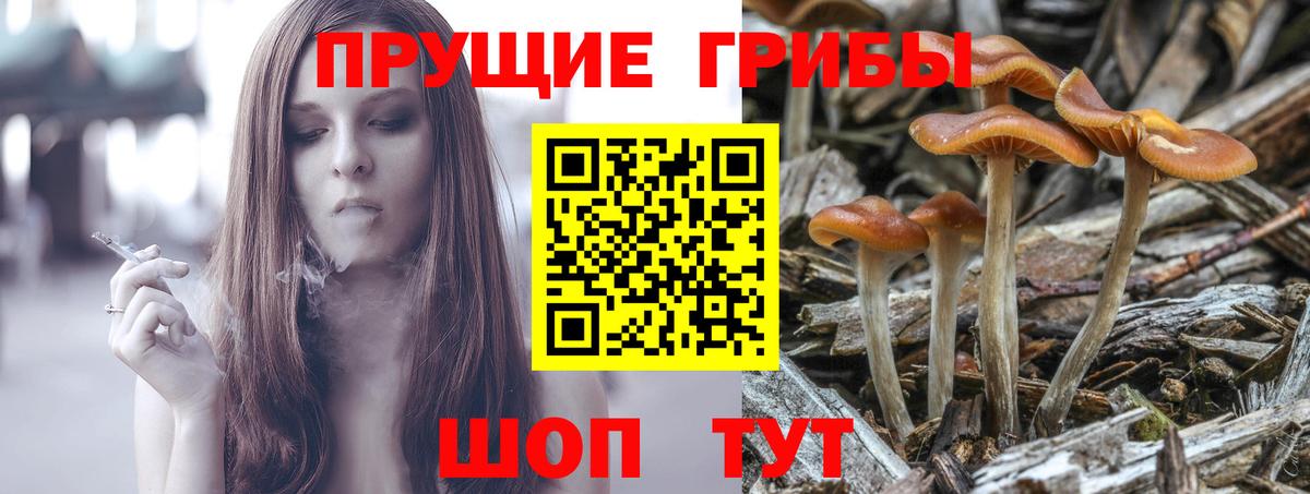 Псилоцибиновые грибы ЛСД Геленджик