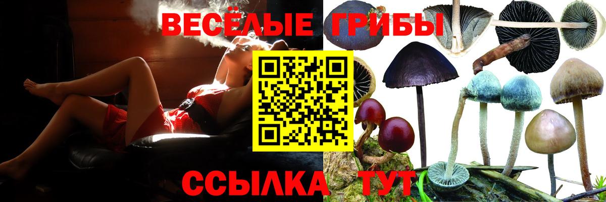 Геленджик  Галлюциногенные грибы Psilocybine cubensis  сколько стоит  Вход с VPN 